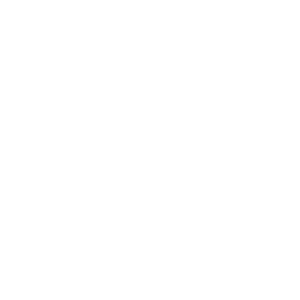 Mental Wellness Check Logo